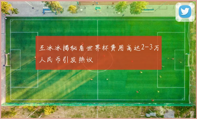 王冰冰揭秘看世界杯费用高达2-3万人民币引发热议