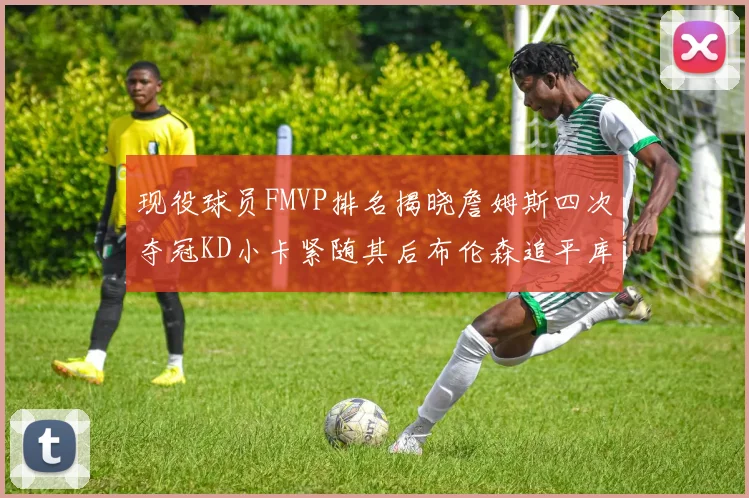现役球员FMVP排名揭晓詹姆斯四次夺冠KD小卡紧随其后布伦森追平库里约基奇等