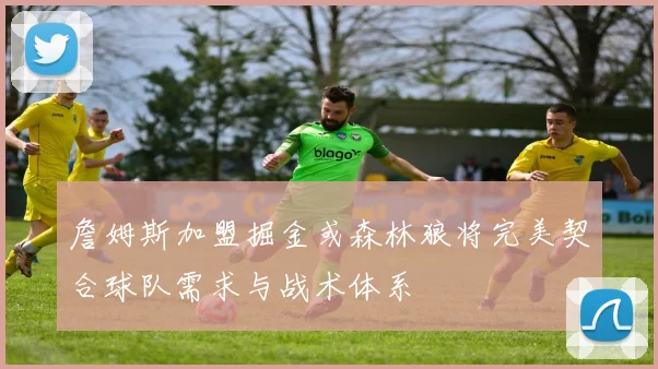 詹姆斯加盟掘金或森林狼将完美契合球队需求与战术体系