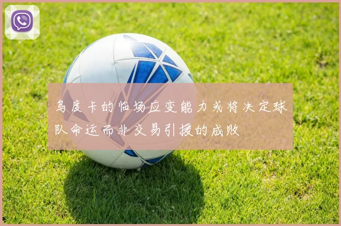 乌度卡的临场应变能力或将决定球队命运而非交易引援的成败